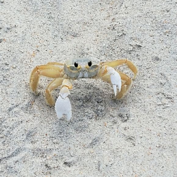 Meet your Posher, Darlee C.  Poshmark Ambassador - Picture 5 of 16